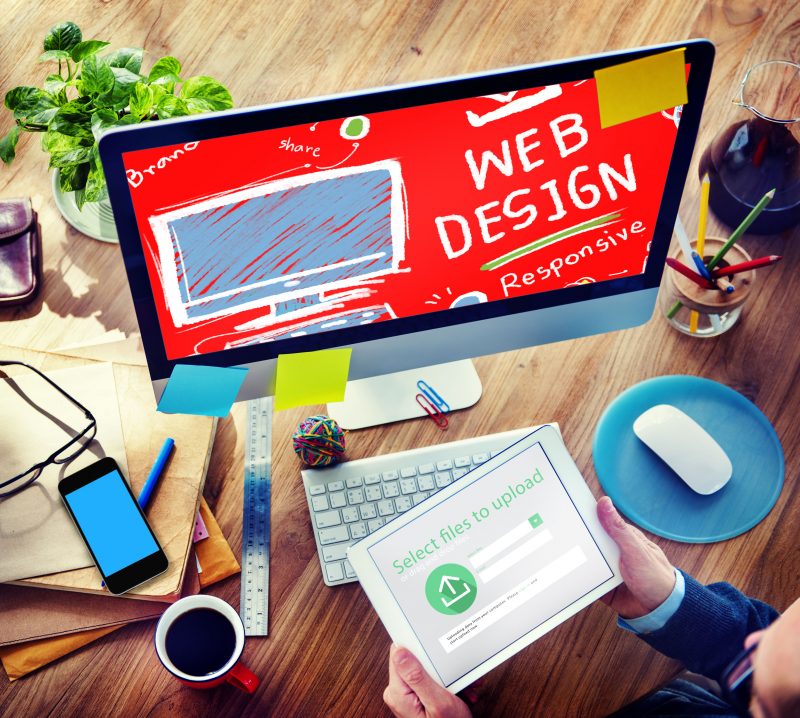 Professional Web Site Designers Provide Dedicated Websites